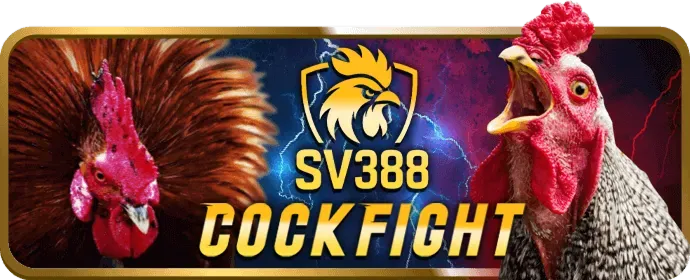 Điền thông tin đăng ký ee66